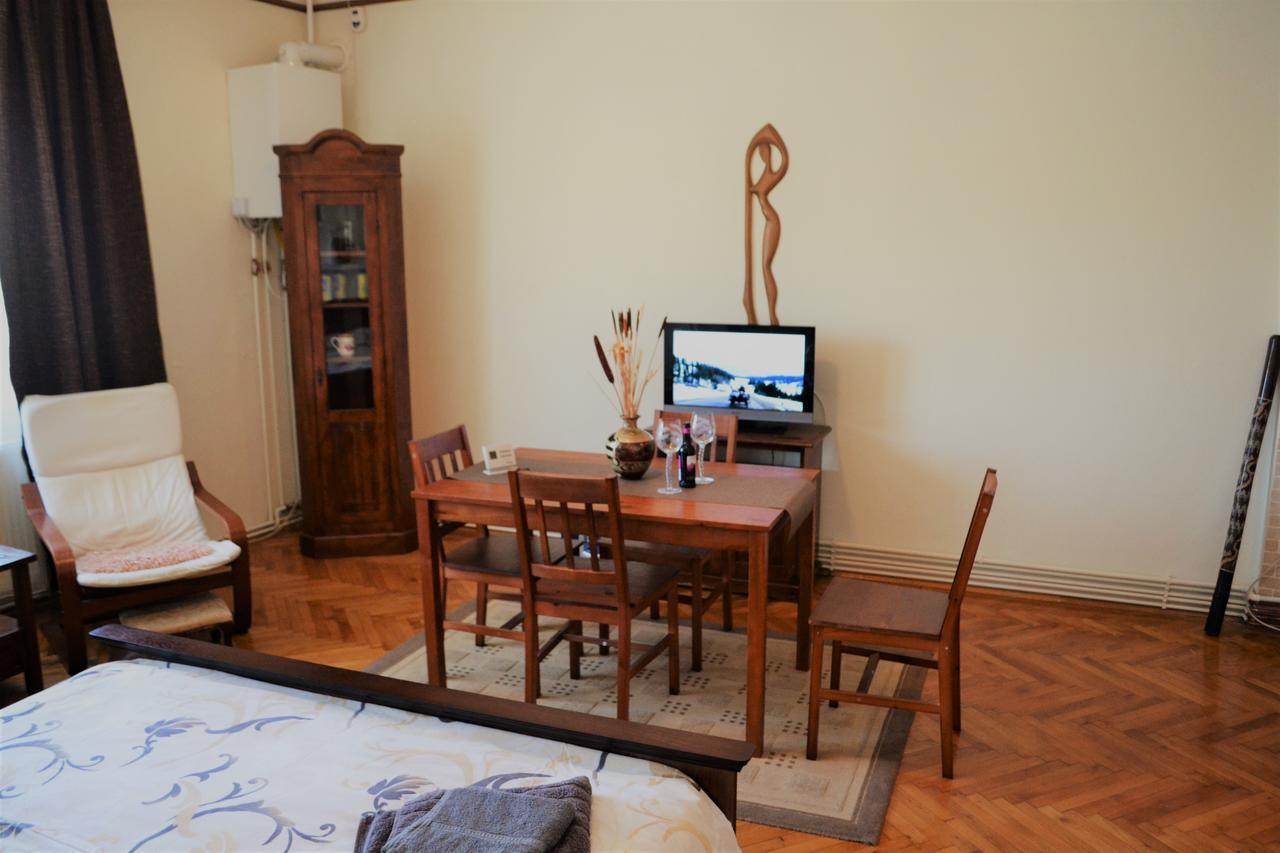 Studio Brasov Apartment ภายนอก รูปภาพ
